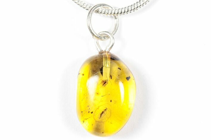Polished Baltic Amber Pendant (Necklace) - Contains Flies! #358002